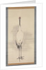 Cranes, 1780s by Nagasawa Rosetsu
