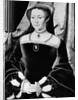 Portrait of a Woman by Unknown