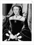 Portrait of a Woman by Unknown