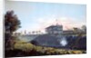 View of the Tunnel of the Harlem Railroad, ca.1837 by Nicolino Calyo