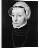 Portrait of a Young Woman by Pieter Pourbus