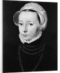 Portrait of a Young Woman by Pieter Pourbus