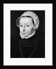 Portrait of a Young Woman by Pieter Pourbus