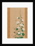 Hollyhocks and Prince?s-Feather Flowers, early 19th century by Sakai Oho