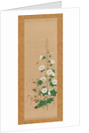 Hollyhocks and Prince?s-Feather Flowers, early 19th century by Sakai Oho