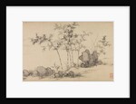 Bamboo grove, late 14th century by Shen Xun