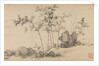 Bamboo grove, late 14th century by Shen Xun