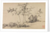 Bamboo grove, late 14th century by Shen Xun