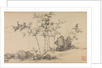 Bamboo grove, late 14th century by Shen Xun