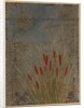 Cat Tails and Moon by Shibata Zeshin
