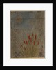 Cat Tails and Moon by Shibata Zeshin