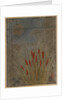 Cat Tails and Moon by Shibata Zeshin