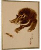 Bear and Crabs by Shibata Zeshin