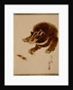 Bear and Crabs by Shibata Zeshin