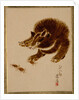 Bear and Crabs by Shibata Zeshin
