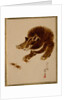 Bear and Crabs by Shibata Zeshin
