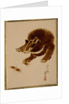 Bear and Crabs by Shibata Zeshin