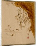 Overhanging Cliff by Shibata Zeshin