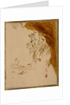 Overhanging Cliff by Shibata Zeshin