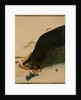 Mountains and Houses by Shibata Zeshin