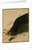 Mountains and Houses by Shibata Zeshin