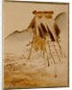 Rice-Drying Frame by Shibata Zeshin