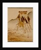 Rice-Drying Frame by Shibata Zeshin