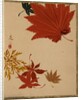 Maple Leaves by Shibata Zeshin