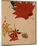 Maple Leaves by Shibata Zeshin