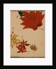 Maple Leaves by Shibata Zeshin