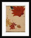 Maple Leaves by Shibata Zeshin