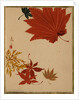 Maple Leaves by Shibata Zeshin