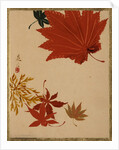 Maple Leaves by Shibata Zeshin