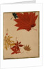 Maple Leaves by Shibata Zeshin