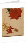 Maple Leaves by Shibata Zeshin
