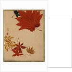Maple Leaves by Shibata Zeshin