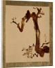 Crow on Tree by Shibata Zeshin