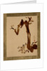 Crow on Tree by Shibata Zeshin