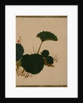 Worm on Green Leaved Plant by Shibata Zeshin
