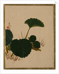 Worm on Green Leaved Plant by Shibata Zeshin