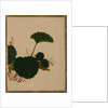 Worm on Green Leaved Plant by Shibata Zeshin