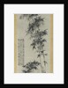 Bamboo in Wind and Rain, ca. 1694 by Shitao