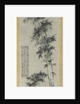 Bamboo in Wind and Rain, ca. 1694 by Shitao