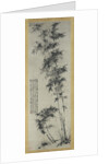 Bamboo in Wind and Rain, ca. 1694 by Shitao