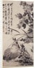Hibiscus, Lotus, and Rock, ca. 1705-7 by Shitao