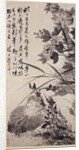 Hibiscus, Lotus, and Rock, ca. 1705-7 by Shitao