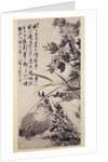 Hibiscus, Lotus, and Rock, ca. 1705-7 by Shitao
