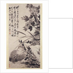 Hibiscus, Lotus, and Rock, ca. 1705-7 by Shitao