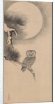 Owl on a Pine Branch, early 17th century by Soga Nichokuan