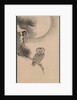 Owl on a Pine Branch, early 17th century by Soga Nichokuan
